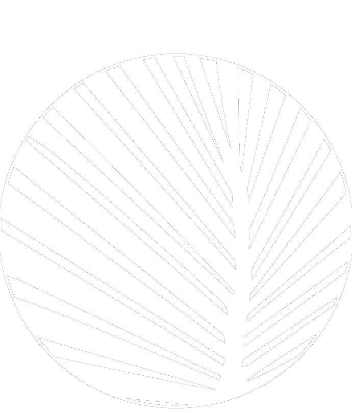 Paradise Palms logo of a modern minimal palm leave in a circle